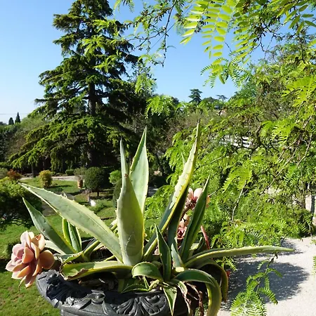 D'hotes - - Des Roses Bed & Breakfast