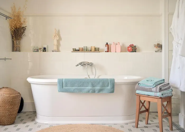 D'hotes - - Des Roses 3* Nîmes